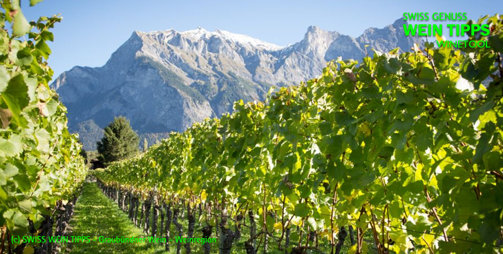 Swiss Wein Tipps - Swiss Winetool