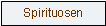 Textfeld: Spirituosen