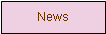 Textfeld: News