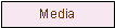 Textfeld: Media