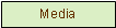 Textfeld: Media